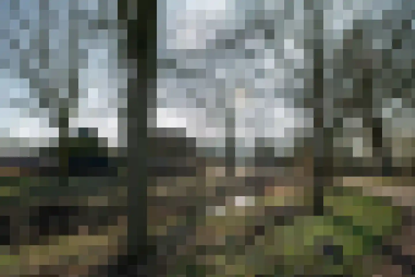 De Doornweg 45 Zwolle thumbnail 63