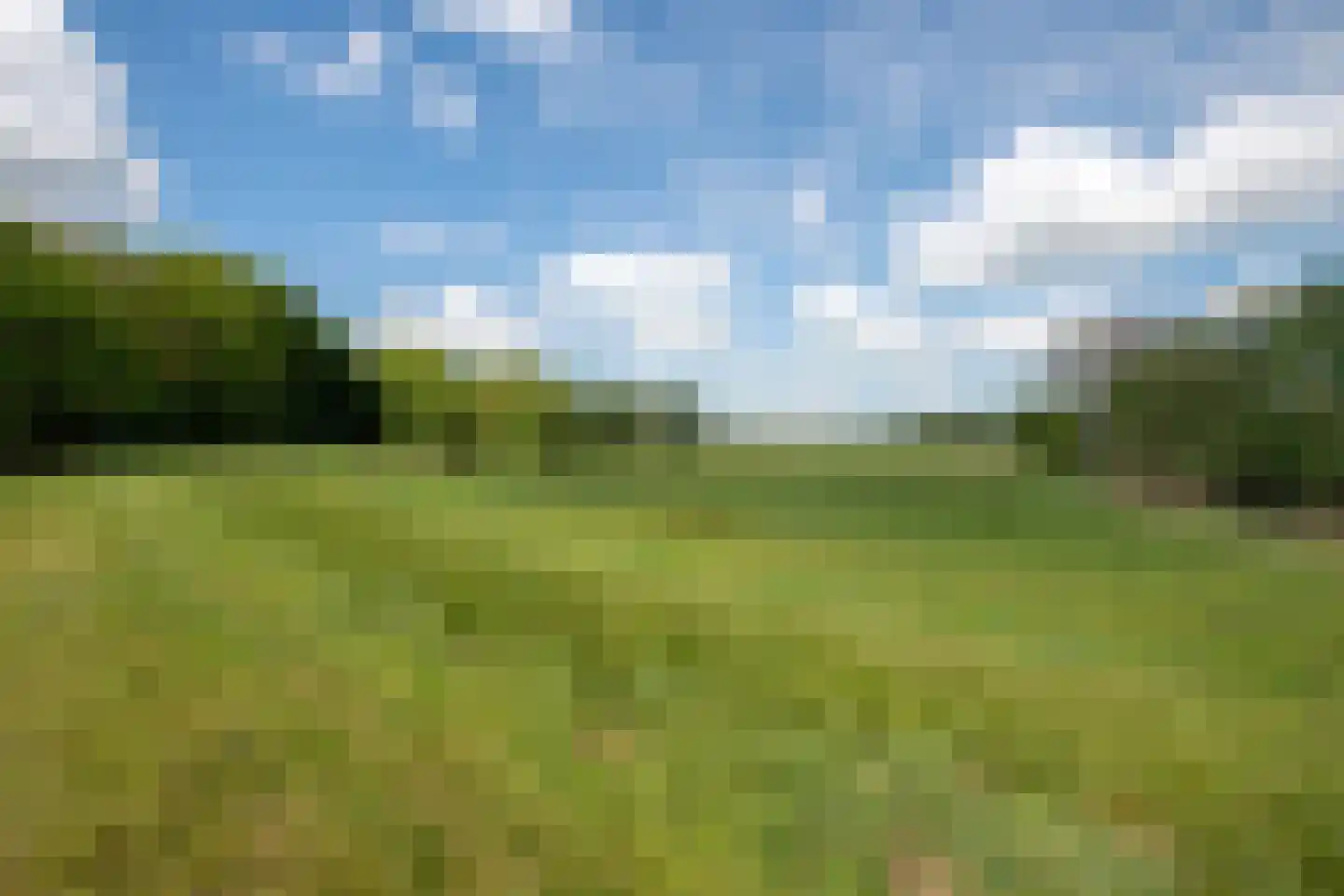 De Doornweg 45 Zwolle thumbnail 65