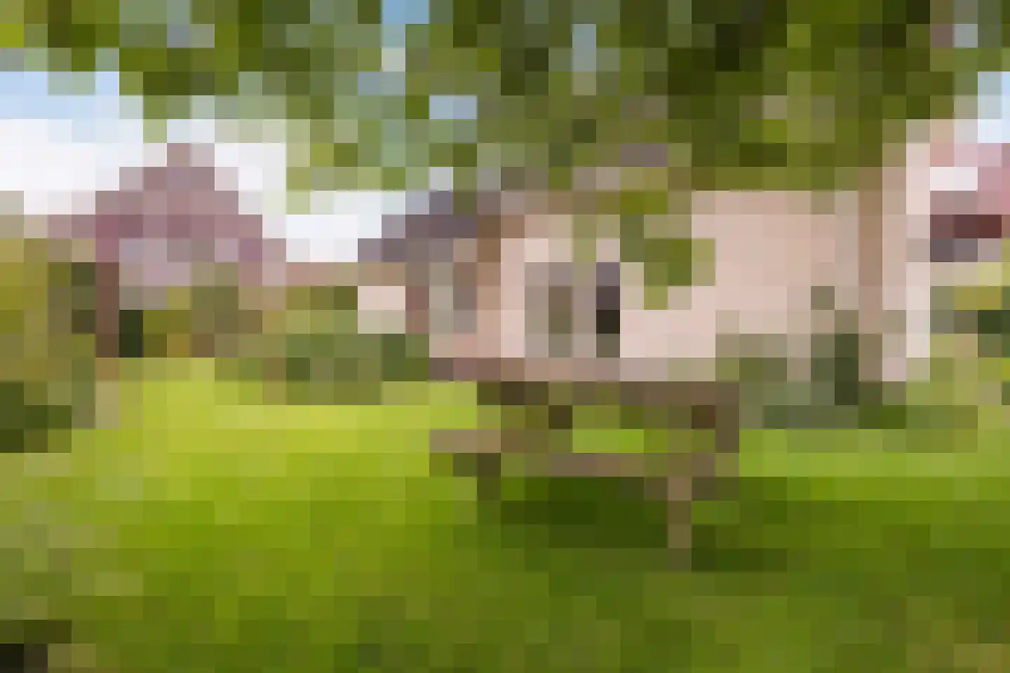 De Doorvaart 21 Klarenbeek thumbnail 28