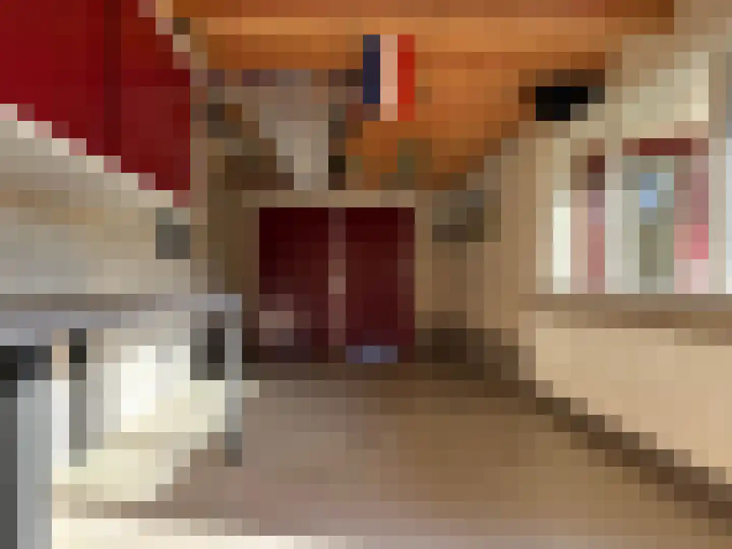 De Doorvaart 21 Klarenbeek thumbnail 34