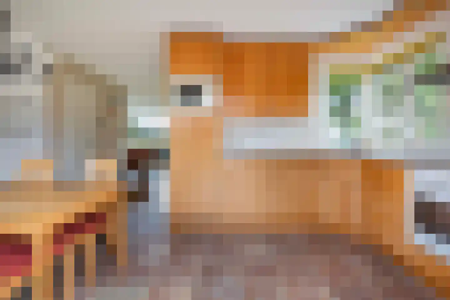 De Doorvaart 21 Klarenbeek thumbnail 9