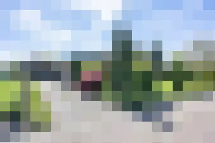 De Doppen 21 Gorredijk thumbnail 10