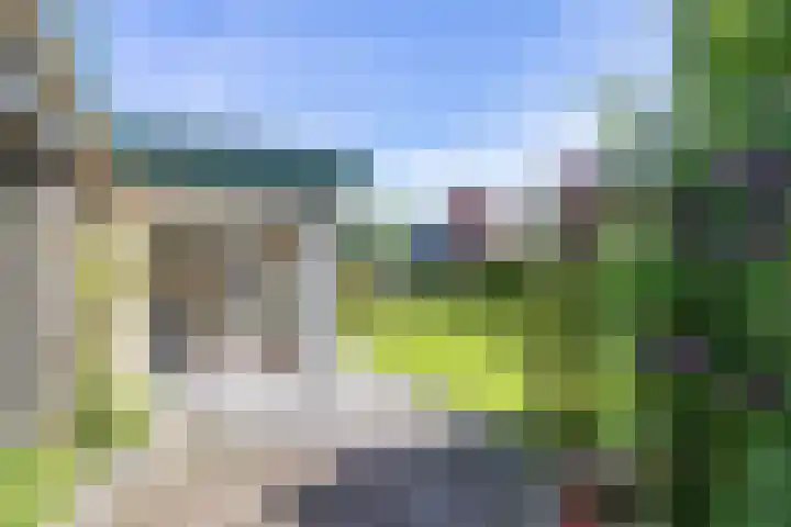 De Doppen 21 Gorredijk thumbnail 11