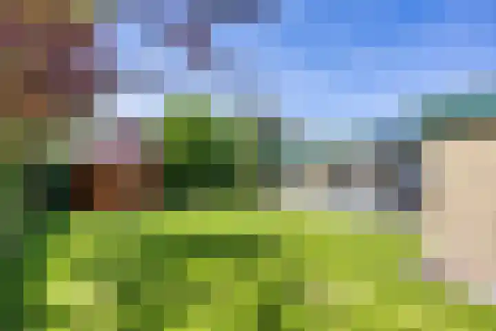 De Doppen 21 Gorredijk thumbnail 12