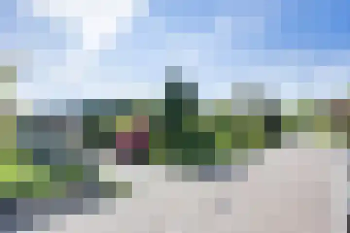 De Doppen 21 Gorredijk thumbnail 13