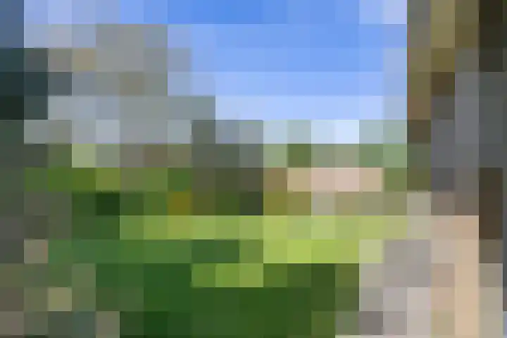 De Doppen 21 Gorredijk thumbnail 15