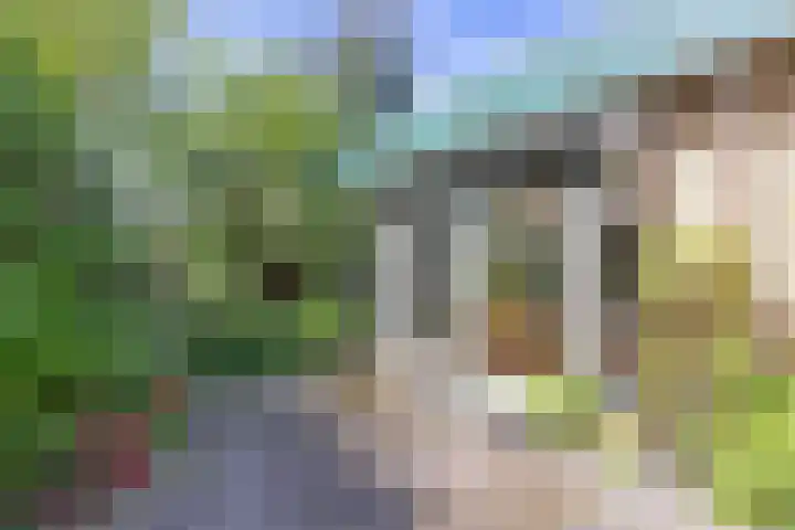 De Doppen 21 Gorredijk thumbnail 16