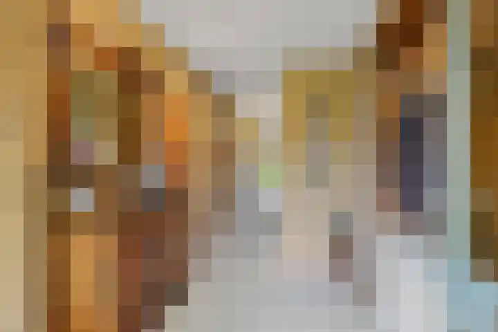 De Doppen 21 Gorredijk thumbnail 18