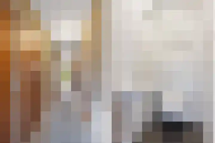 De Doppen 21 Gorredijk thumbnail 19