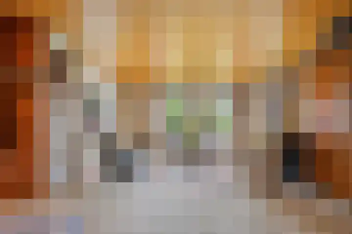 De Doppen 21 Gorredijk thumbnail 21