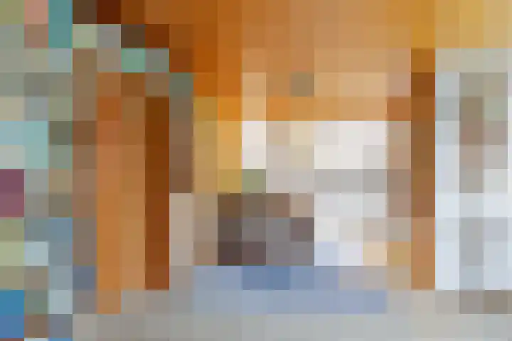 De Doppen 21 Gorredijk thumbnail 23
