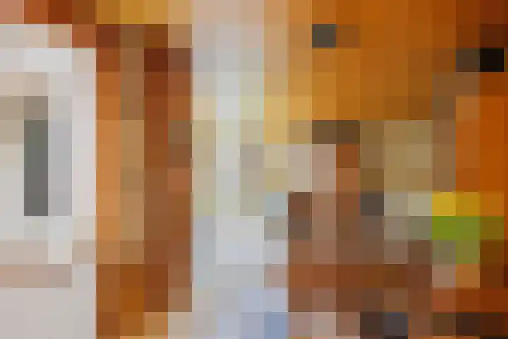 De Doppen 21 Gorredijk thumbnail 24
