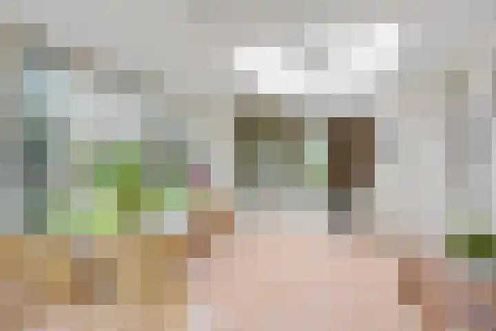 De Doppen 21 Gorredijk thumbnail 26