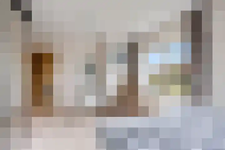 De Doppen 21 Gorredijk thumbnail 32