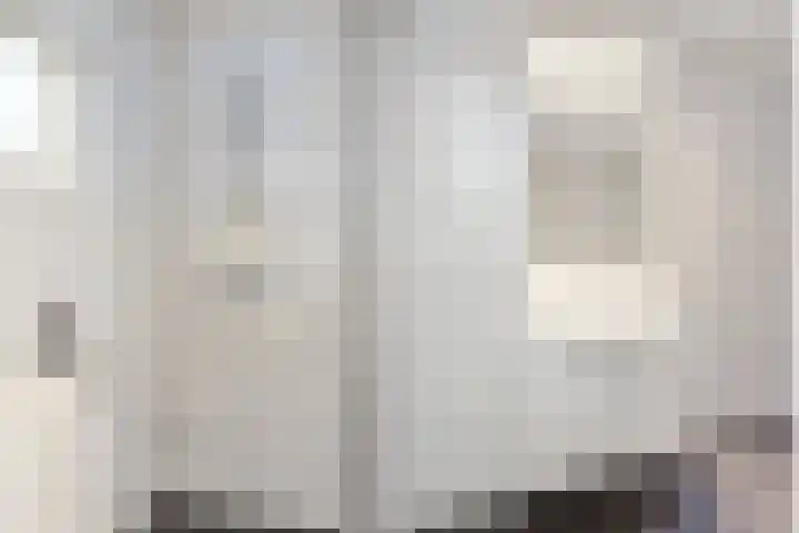 De Doppen 21 Gorredijk thumbnail 36