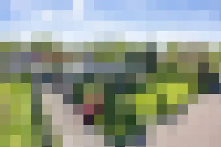 De Doppen 21 Gorredijk thumbnail 43