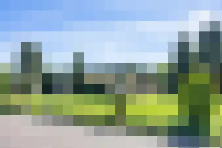 De Doppen 21 Gorredijk thumbnail 5