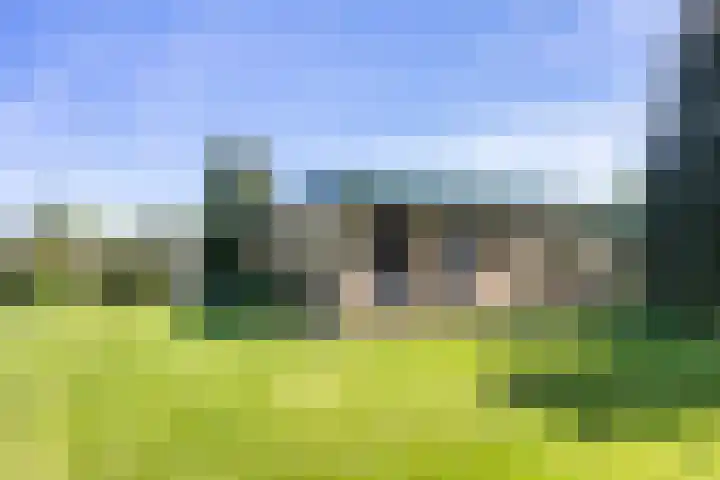 De Doppen 21 Gorredijk thumbnail 6