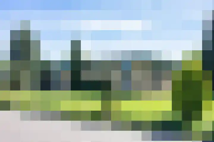 De Doppen 21 Gorredijk thumbnail 7