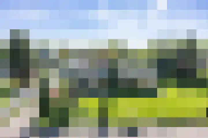 De Doppen 21 Gorredijk thumbnail 8