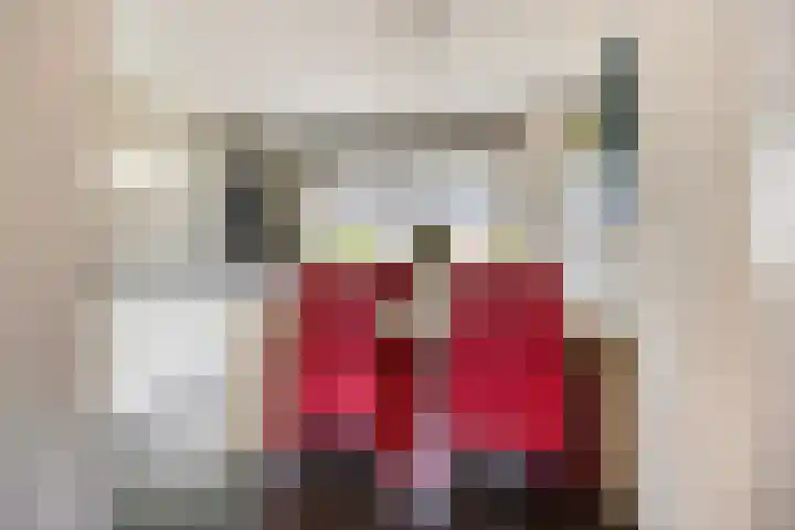 De Dorsvlegel 12 Made thumbnail 10