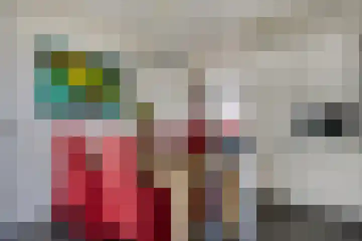 De Dorsvlegel 12 Made thumbnail 11