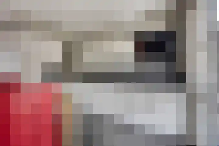De Dorsvlegel 12 Made thumbnail 12