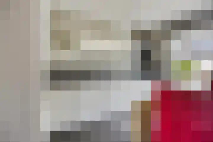 De Dorsvlegel 12 Made thumbnail 13