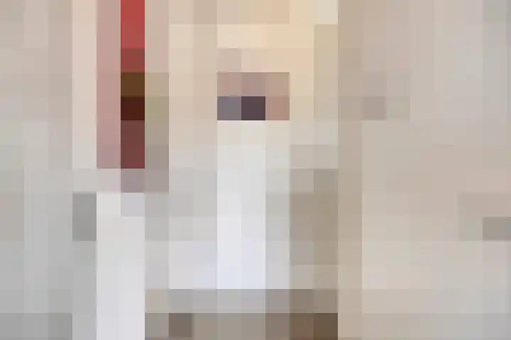 De Dorsvlegel 12 Made thumbnail 15