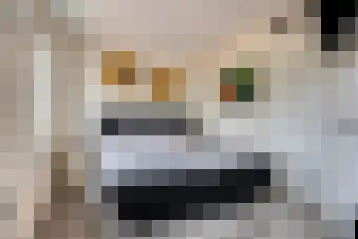 De Dorsvlegel 12 Made thumbnail 17