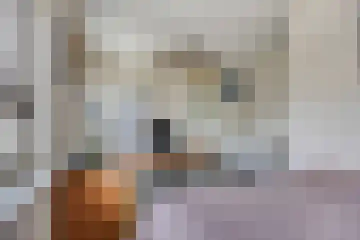 De Dorsvlegel 12 Made thumbnail 20