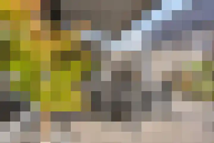 De Dorsvlegel 12 Made thumbnail 26