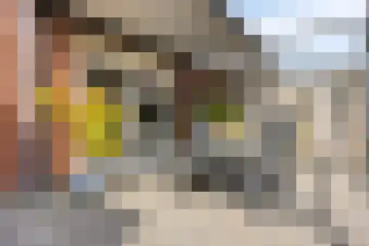 De Dorsvlegel 12 Made thumbnail 27