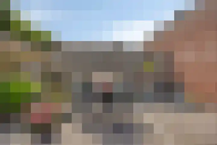 De Dorsvlegel 12 Made thumbnail 28