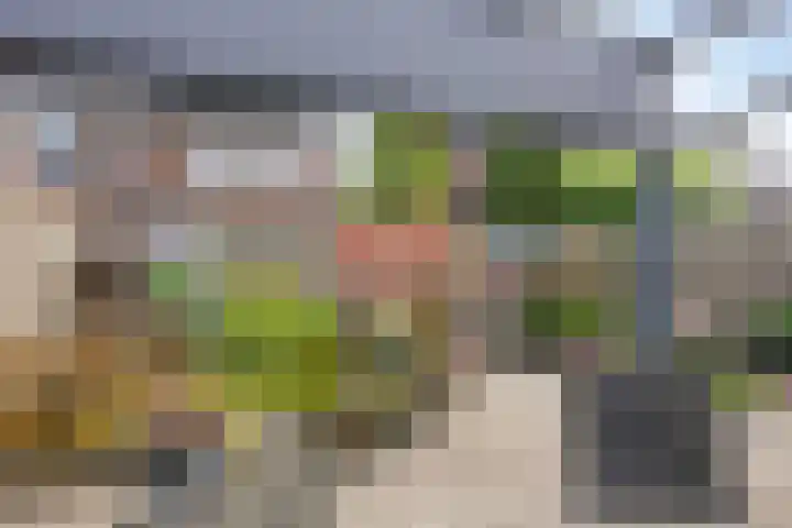De Dorsvlegel 12 Made thumbnail 29