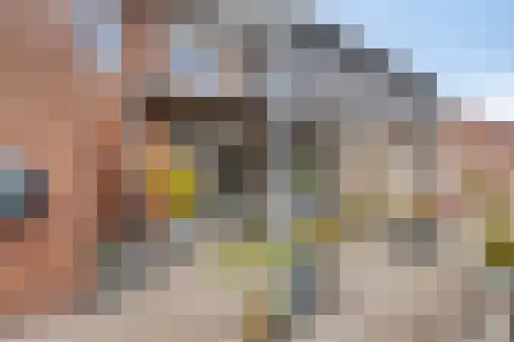 De Dorsvlegel 12 Made thumbnail 30