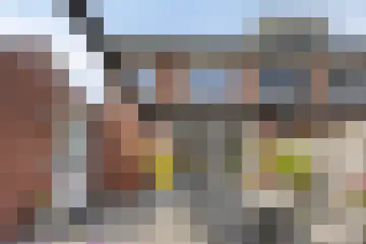 De Dorsvlegel 12 Made thumbnail 31