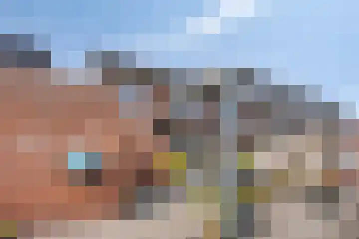 De Dorsvlegel 12 Made thumbnail 32
