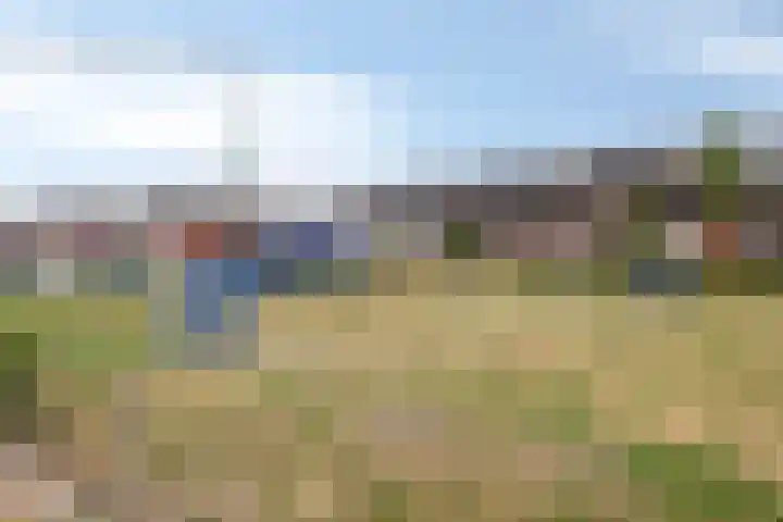 De Dorsvlegel 12 Made thumbnail 33