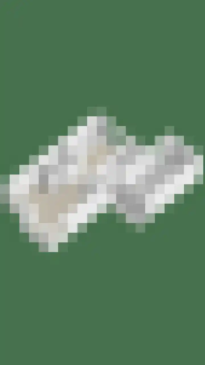 De Dorsvlegel 12 Made thumbnail 37