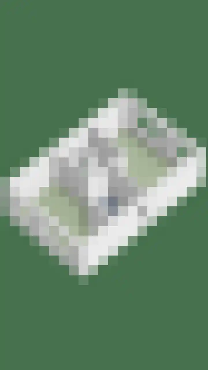 De Dorsvlegel 12 Made thumbnail 38