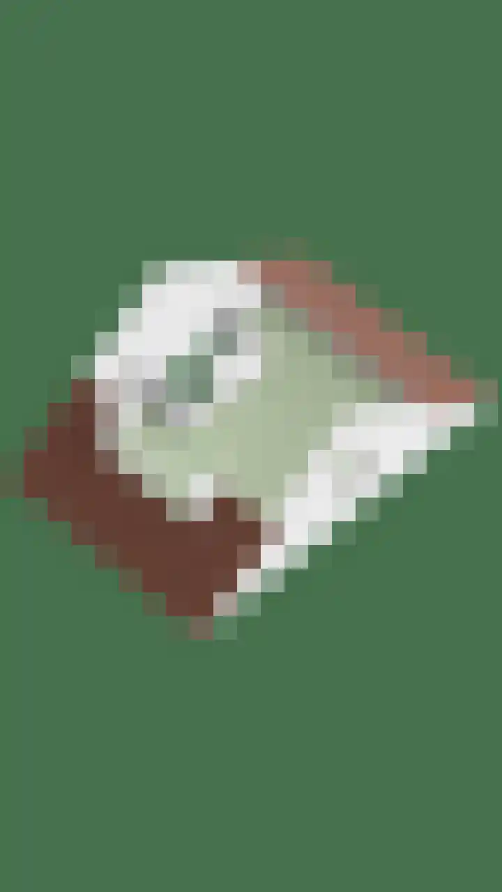 De Dorsvlegel 12 Made thumbnail 39