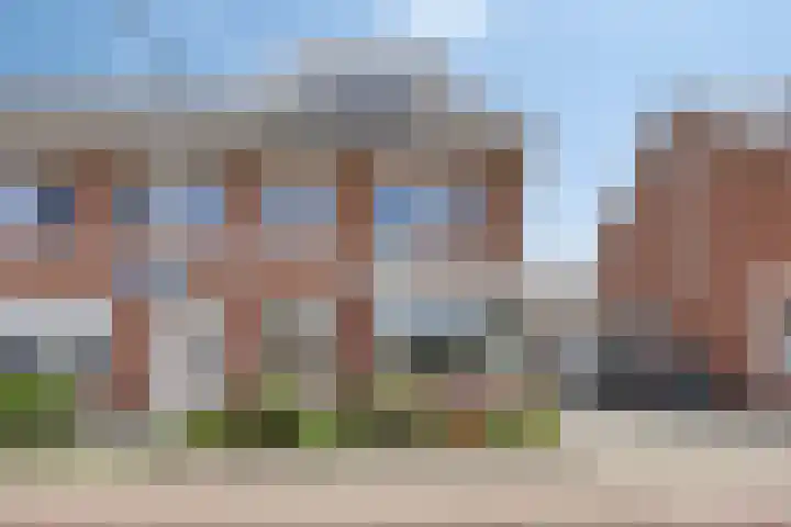 De Dorsvlegel 12 Made thumbnail 4