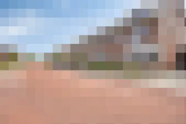 De Dorsvlegel 12 Made thumbnail 5