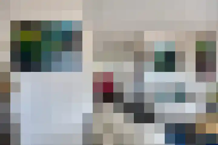 De Dorsvlegel 12 Made thumbnail 8