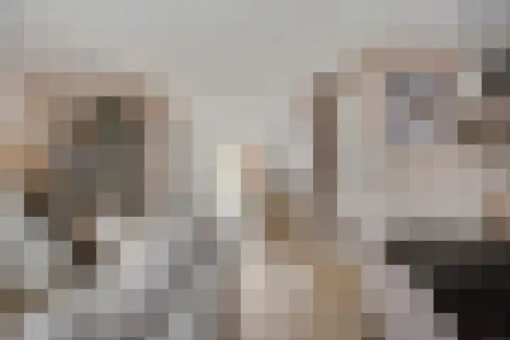 De Dorsvlegel 17 Made thumbnail 10