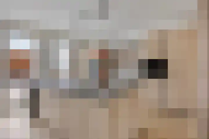 De Dorsvlegel 17 Made thumbnail 13
