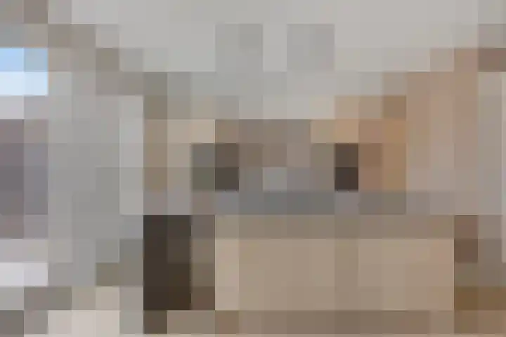 De Dorsvlegel 17 Made thumbnail 14