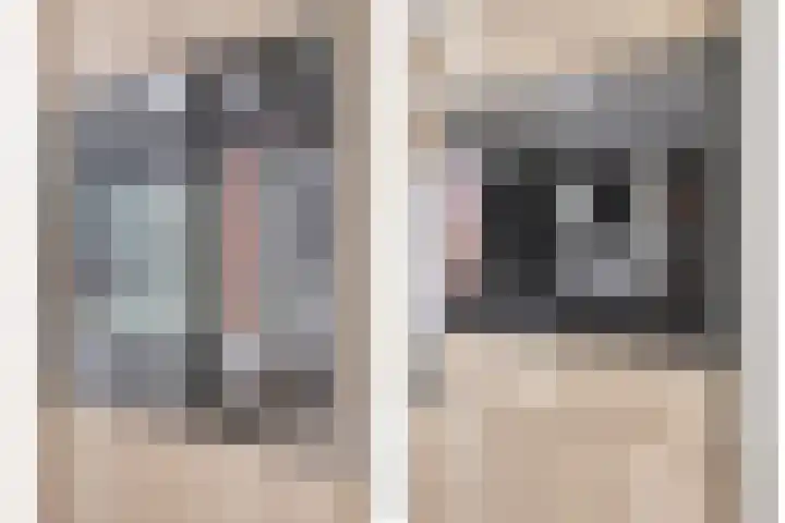De Dorsvlegel 17 Made thumbnail 16