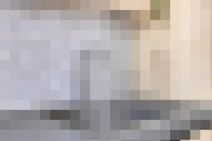 De Dorsvlegel 17 Made thumbnail 17
